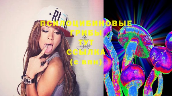 крисы Ладушкин